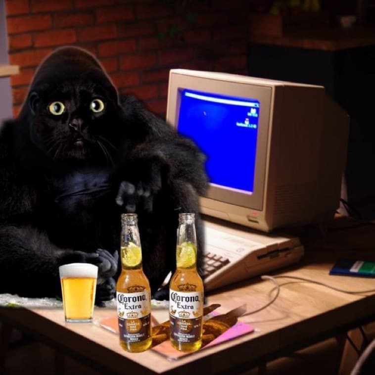 Apecat sits at an old beige desktop computer with two bottles of beer on the desk.